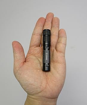 (未使用･未開封品)　SIGHTRON(サイトロン) LEDライト ブライトテック(BRIGHT-TECH) EX250FL 明るさ250ルーメン 防水 SOSモード 点滅モード搭載 BT1005 df5ndr3 Amazon | SIGHTRON(サイトロン) LEDライト ブライトテック